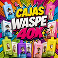 Armar Caja Mixta WASPE 40K
